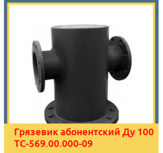 Грязевик абонентский Ду 100 ТС-569.00.000-09 в Туркестане