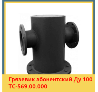 Грязевик абонентский Ду 100 ТС-569.00.000 в Туркестане