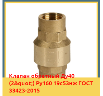 Клапан обратный Ду40 (2") Ру160 19с53нж ГОСТ 33423-2015 в Туркестане