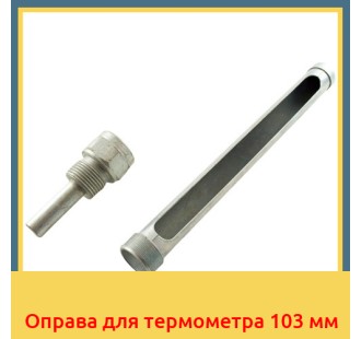 Оправа для термометра 103 мм в Туркестане