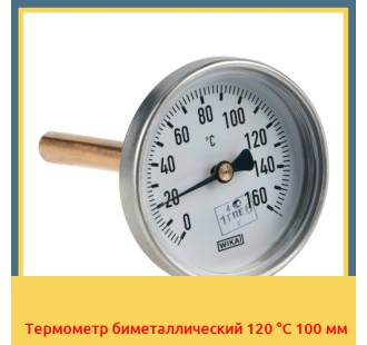 Термометр биметаллический 120 °С 100 мм в Туркестане